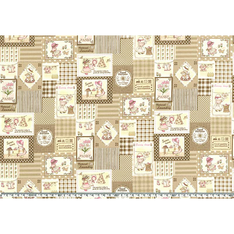 ★2025-01-A07 ミニカット