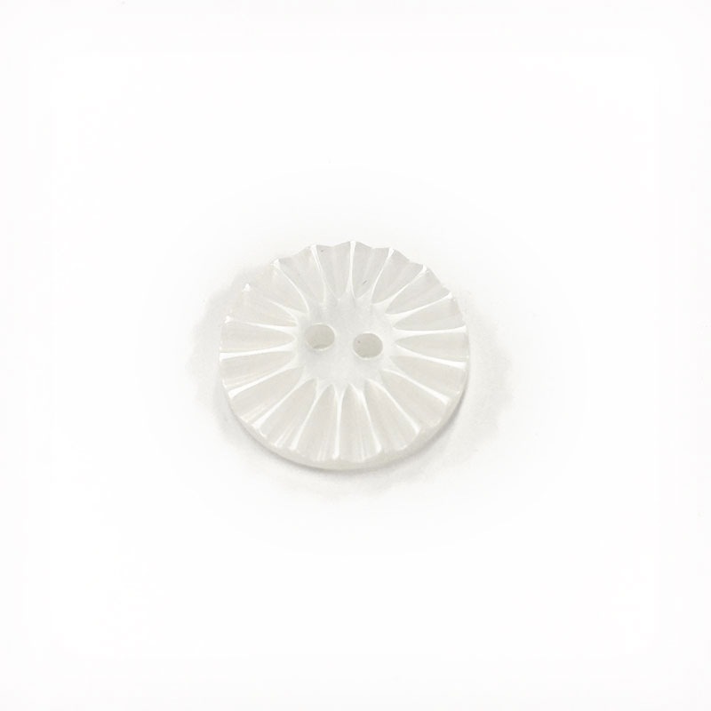 貝調ボタン デイジー