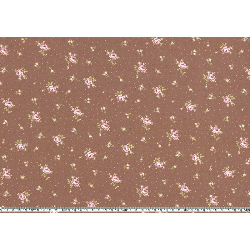 ★2025-01-A10 ミニカット