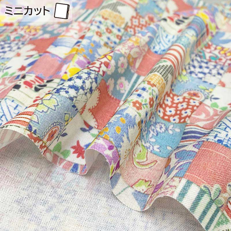 ★2024-04-A07 ミニカット