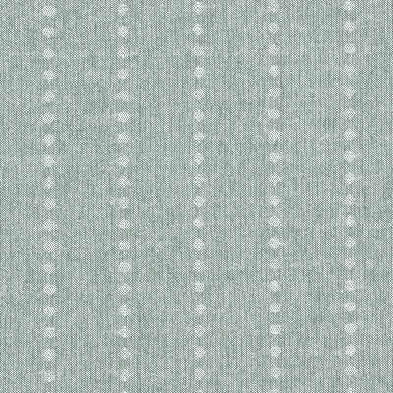 ★2025-01-A11 ミニカット