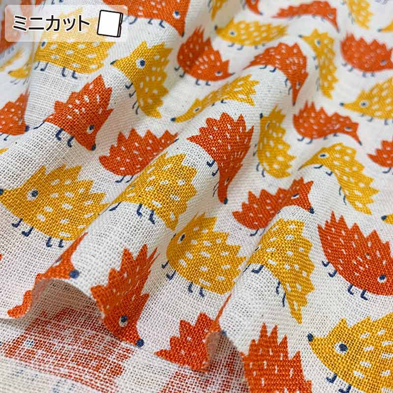 ★2025-01-A13 ミニカット