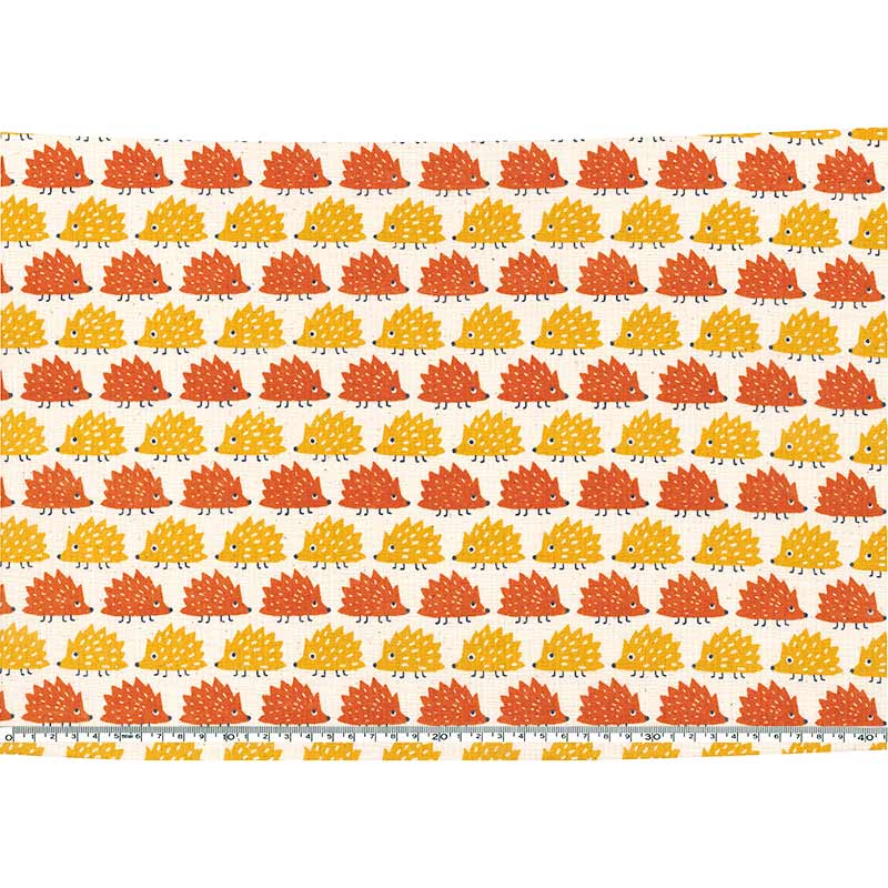 ★2025-01-A13 ミニカット