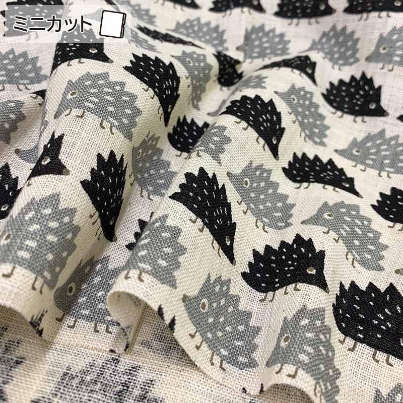 ★2025-01-A14 ミニカット