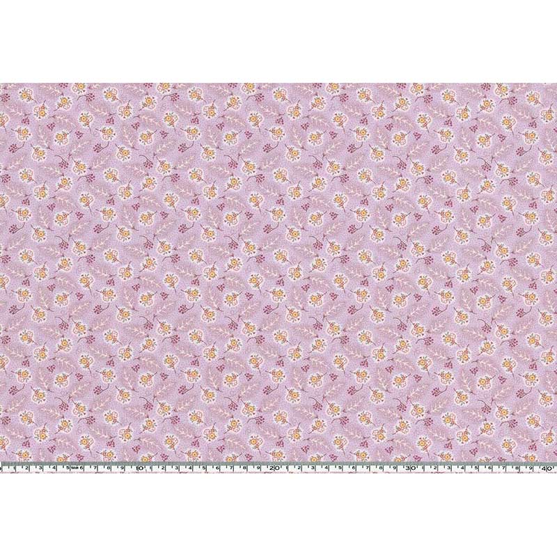 2026-03-A08 10cm