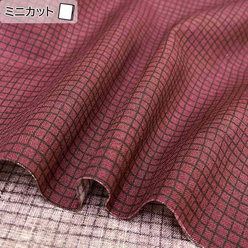 ★2024-04-A16 ミニカット