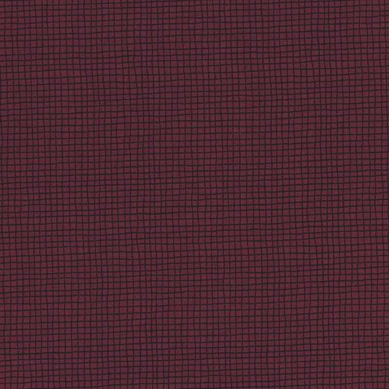 ★2024-04-A16 ミニカット