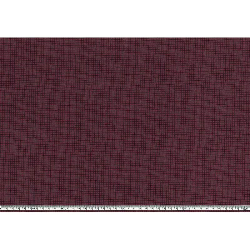 ★2024-04-A16 ミニカット