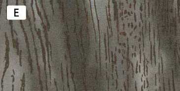 センテナリー31 [10681] 10cm