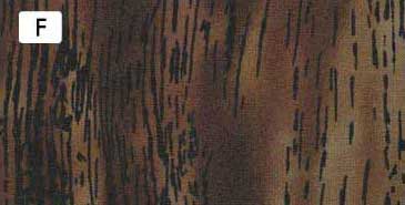 センテナリー31 [10681] 10cm