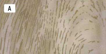 センテナリー31 [10681] 10cm