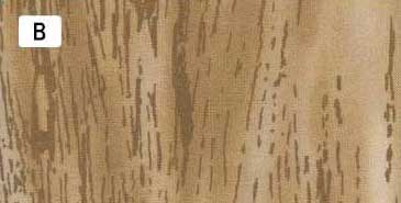 センテナリー31 [10681] 10cm