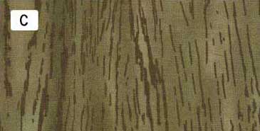 センテナリー31 [10681] 10cm