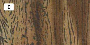 センテナリー31 [10681] 10cm