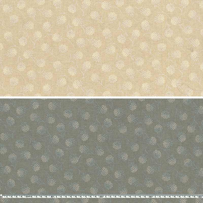 センテナリー31 [10683] 10cm