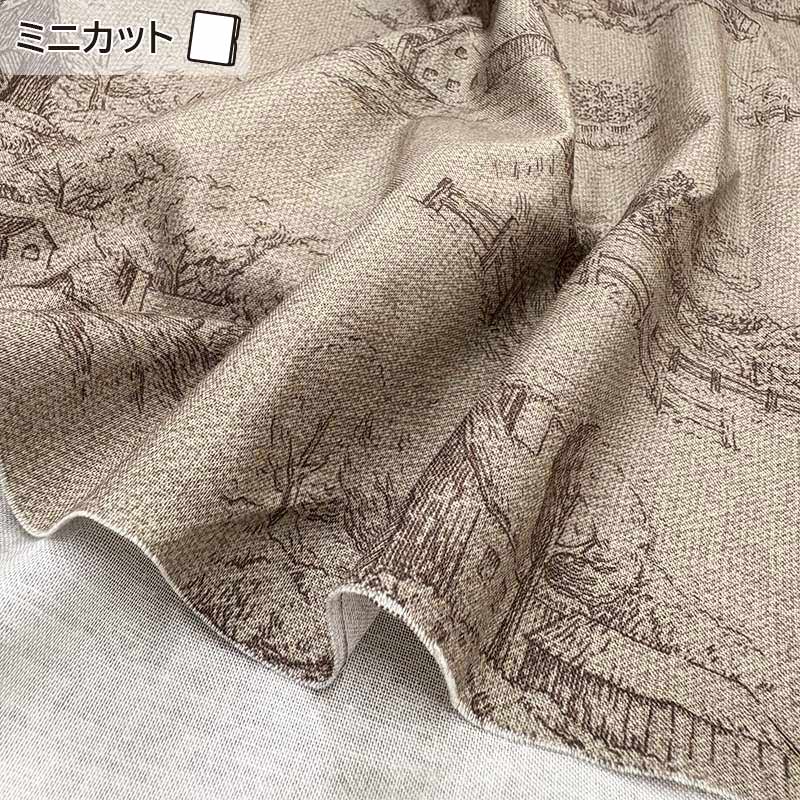 ★2026-02-A08 ミニカット