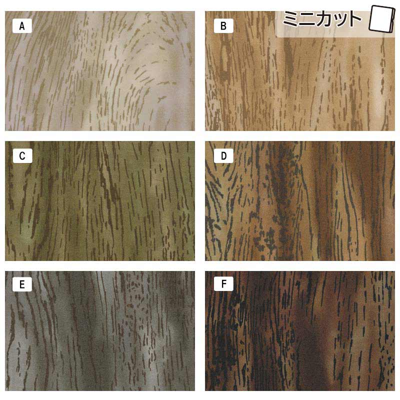 センテナリー31 [10681] ミニカット