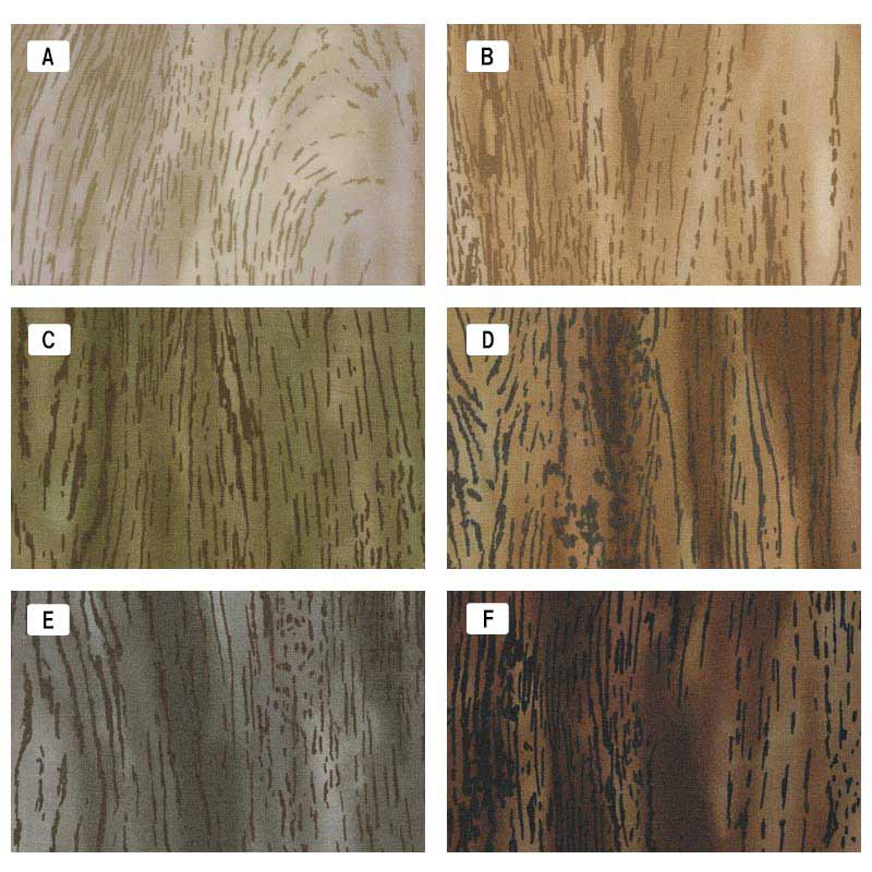 センテナリー31 [10681] ミニカット