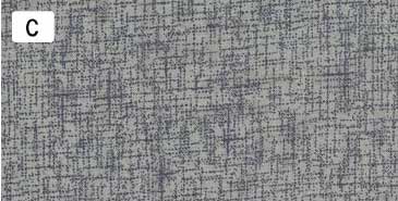 センテナリー31 [10682] ミニカット