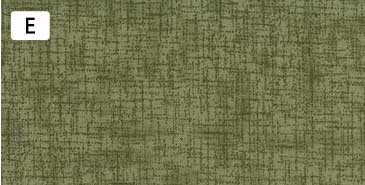 センテナリー31 [10682] ミニカット