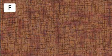 センテナリー31 [10682] ミニカット