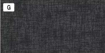 センテナリー31 [10682] ミニカット