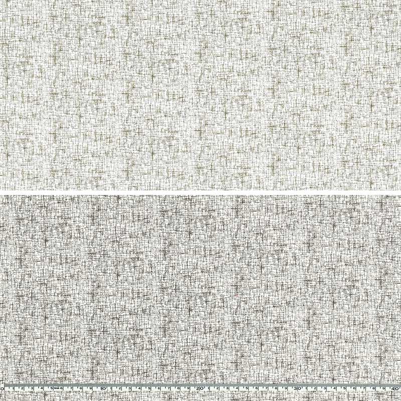 センテナリー31 [10682] ミニカット