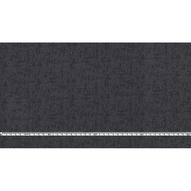 センテナリー31 [10682] ミニカット