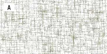 センテナリー31 [10682] ミニカット