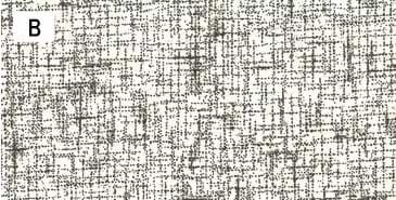 センテナリー31 [10682] ミニカット