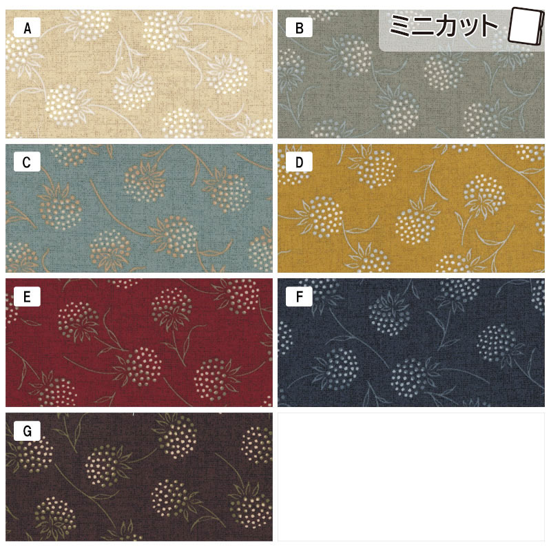 センテナリー31 [10683] ミニカット