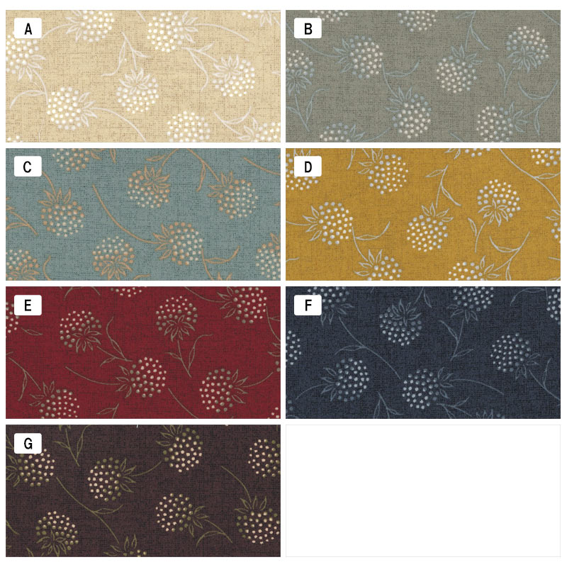 センテナリー31 [10683] ミニカット