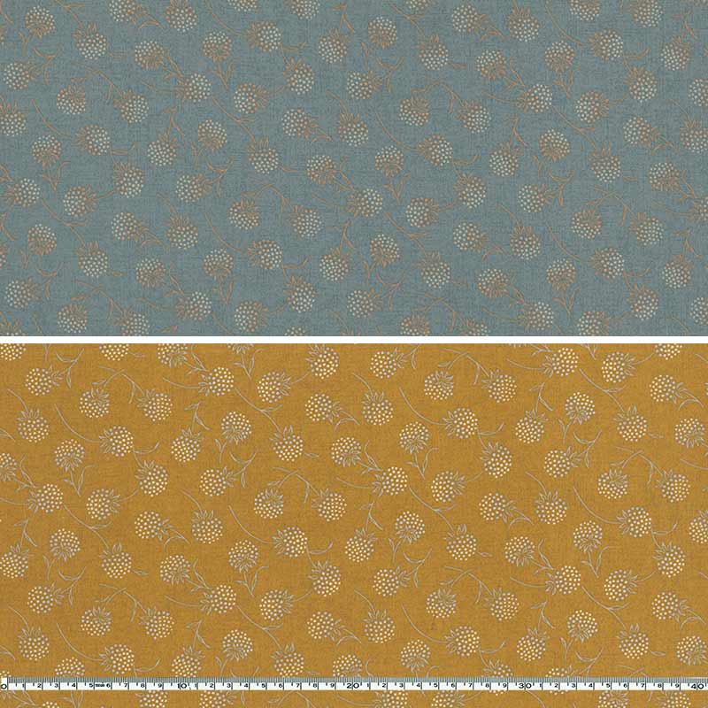 センテナリー31 [10683] ミニカット