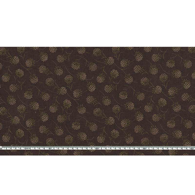 センテナリー31 [10683] ミニカット