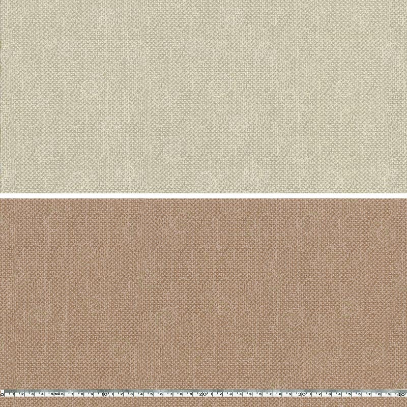 ★センテナリー30 [10623] 10cm 