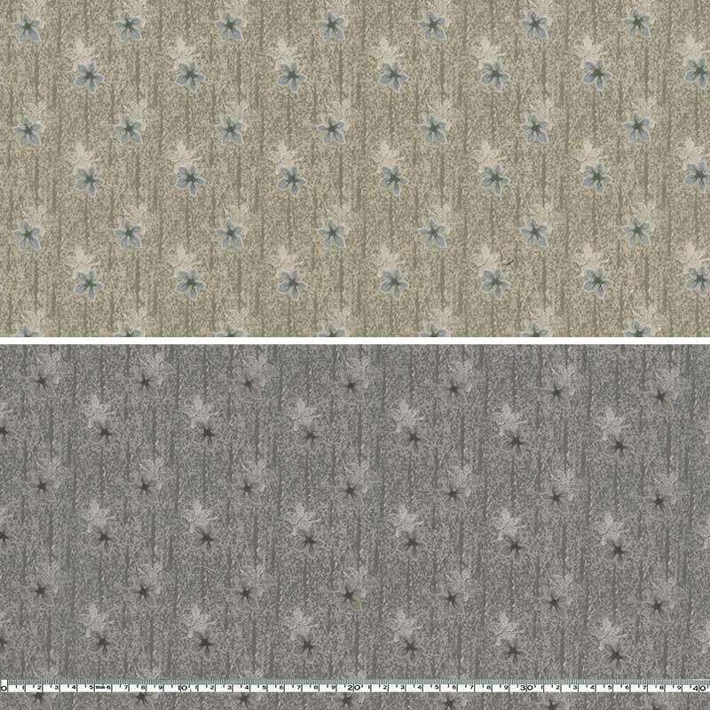 センテナリー31 [10684] ミニカット