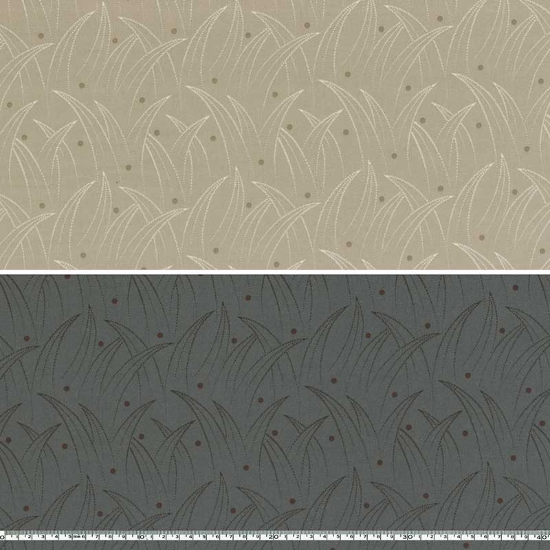 ★センテナリー27 [10377]  ミニカット