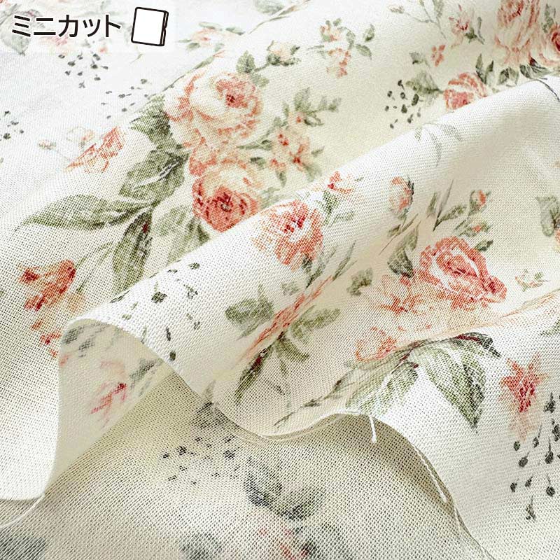 ★2025-05-A02 ミニカット