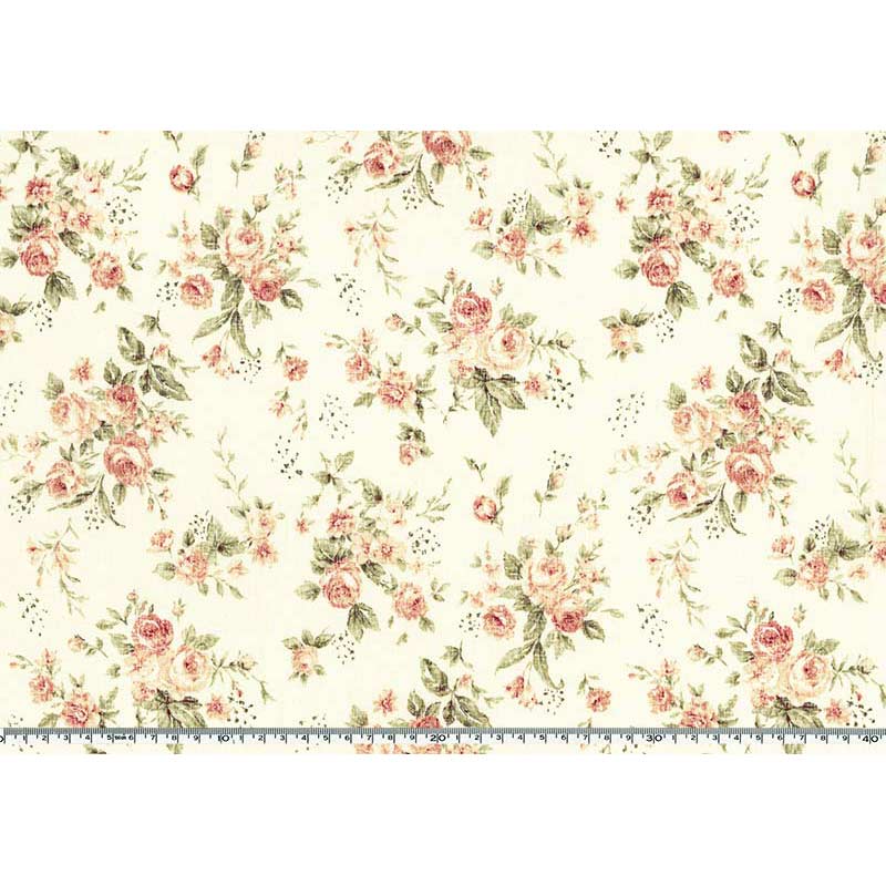 ★2025-05-A02 ミニカット