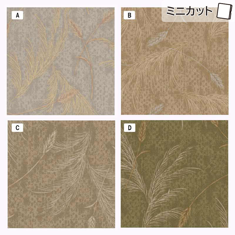 センテナリー31 [10685] ミニカット