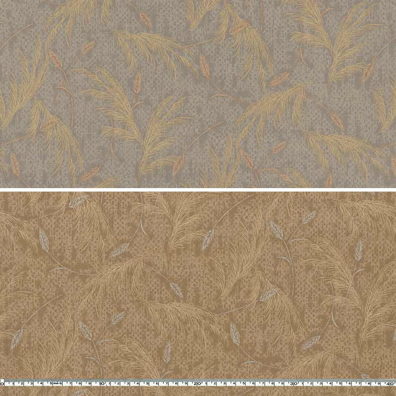 センテナリー31 [10685] ミニカット