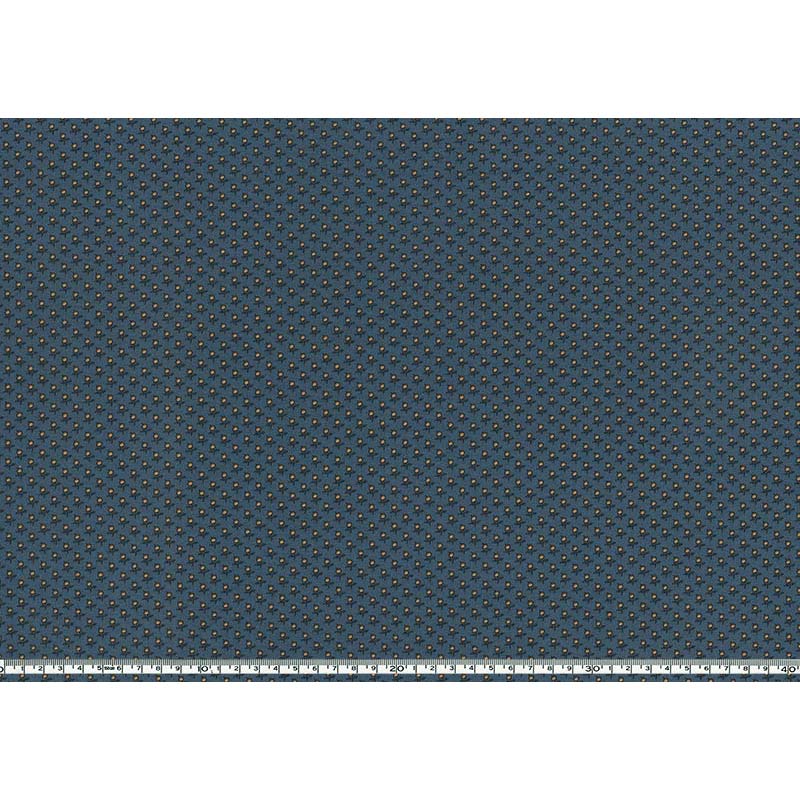 ★2026-02-A03 10cm