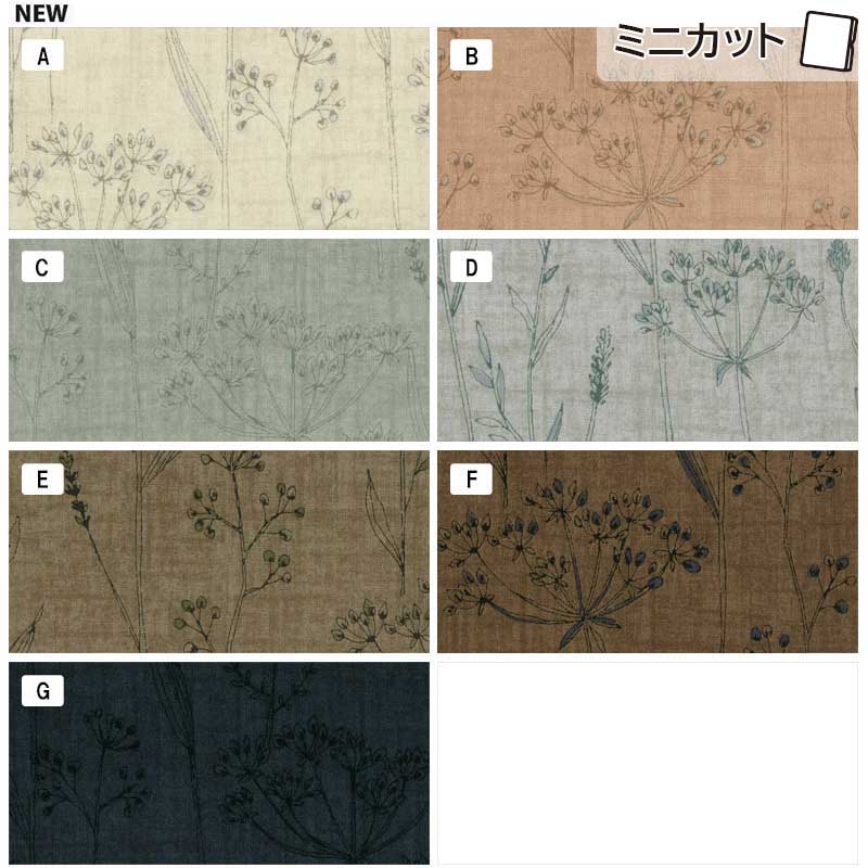 ★センテナリー27 [10378]  ミニカット