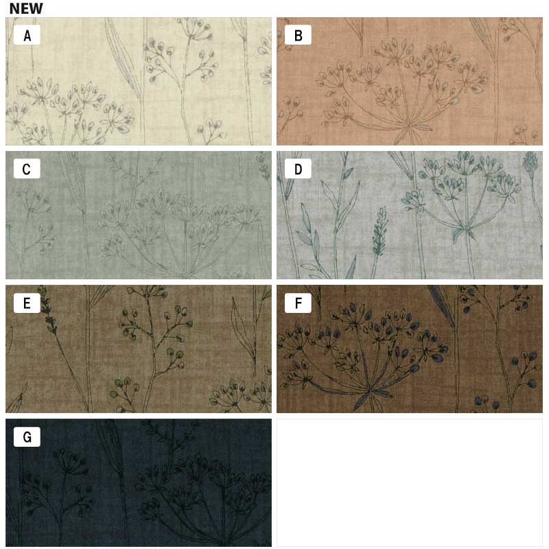 ★センテナリー27 [10378]  ミニカット