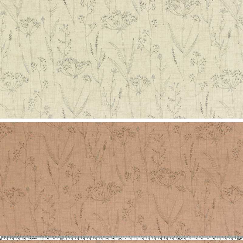 ★センテナリー27 [10378]  ミニカット