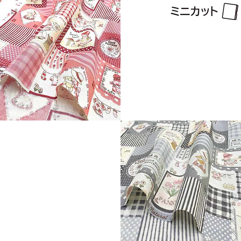 web2501-A07 ミニカット