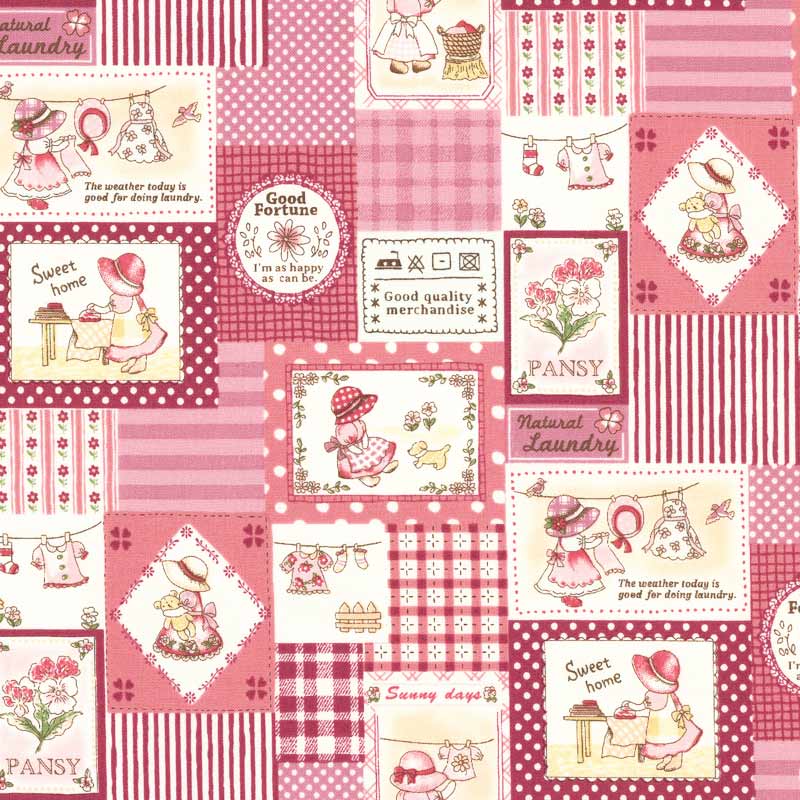 web2501-A07 ミニカット