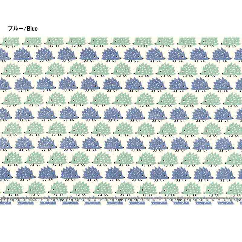 web2501-A13　ブルー　ミニカット