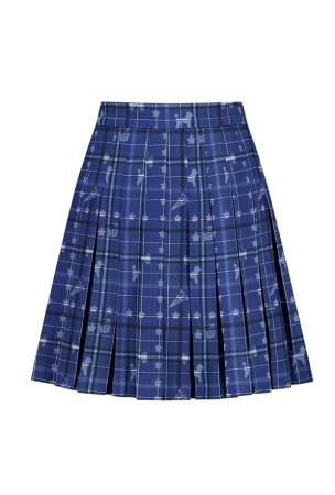 blue rsp check skirt