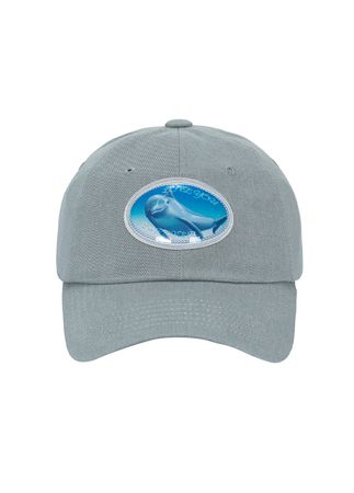 gray dolphin ball cap 